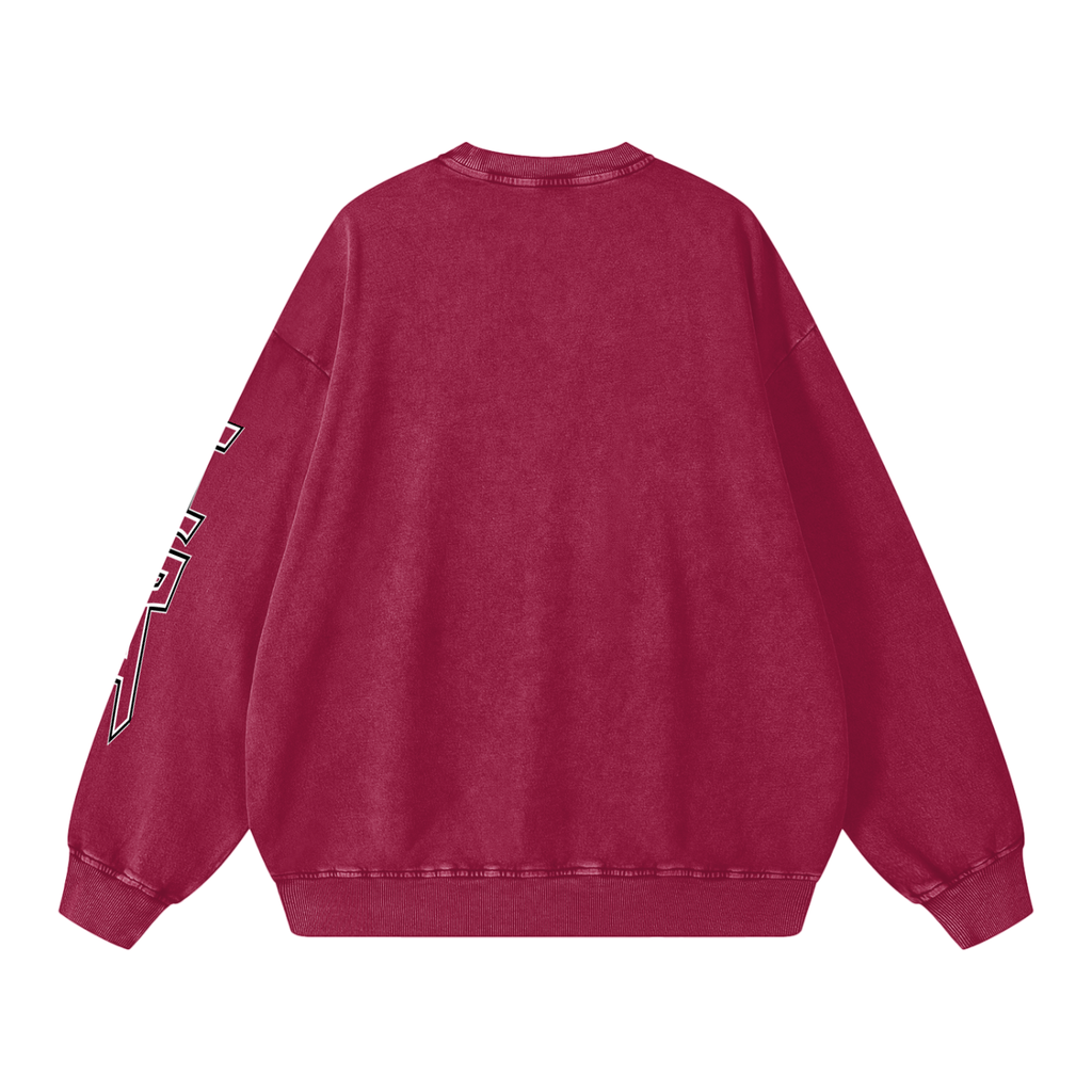 Snow Washed Oversized Sweatshirt